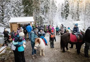 A winter scene with many people gathering around ponies and children. In the background, snow-covered trees and a small building can be seen.