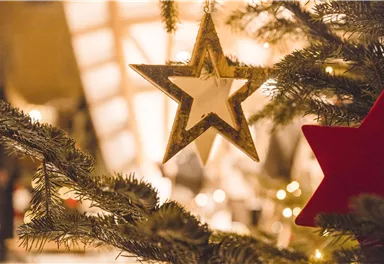 Ein geschmackvoll geschmückter Weihnachtsbaum mit einem glitzernden Stern und roten Verzierungen. Im Hintergrund sind sanfte Lichter zu sehen, die eine festliche Stimmung verbreiten.