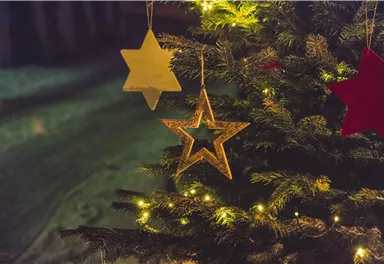A decorated Christmas tree with sparkling stars and lights. The festive atmosphere radiates coziness.