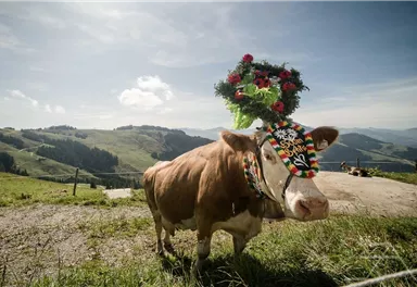 Eine Kuh mit einem bunten Blumenkranz steht auf einer grünen Wiese. Im Hintergrund sind Hügel und ein blauer Himmel zu sehen.