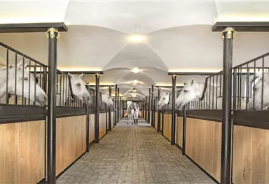 An elegant horse stable with multiple stalls. White horses curiously peek out of their boxes.