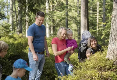 A group of people is exploring the forest. Some children and adults are laughing and enjoying nature.