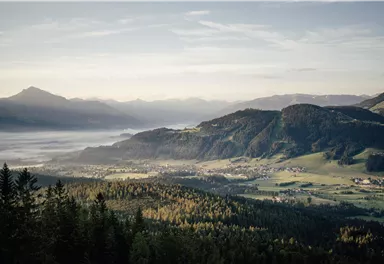 Eine malerische Berglandschaft mit sanften Hügeln und dichten Wäldern. Der Morgennebel umhüllt das Tal, während die Berge im Hintergrund emporragen.