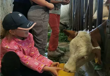 Ein Kind füttert eine Kuh in einem Stall. Einige Personen stehen im Hintergrund und beobachten die Szene.
