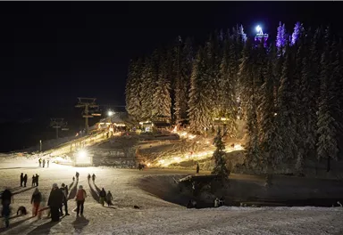 A wintry mountain landscape at night, illuminated by lights. People enjoy the snow-covered slopes and the snowy trees.