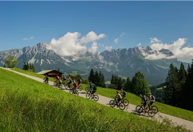 A group of cyclists rides along a picturesque path through a green landscape. In the background, majestic mountains and a clear sky can be seen.