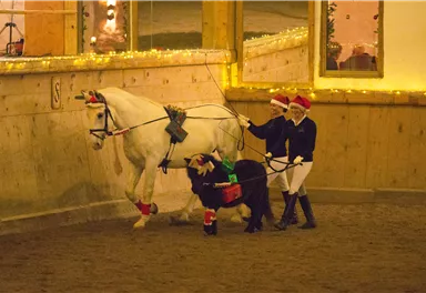 Zwei Reiter in Weihnachtsmützen führen ein geschmücktes Pferd und ein Pony in einer beleuchteten Reithalle. Die festliche Atmosphäre wird durch die Lichter und Dekorationen verstärkt.