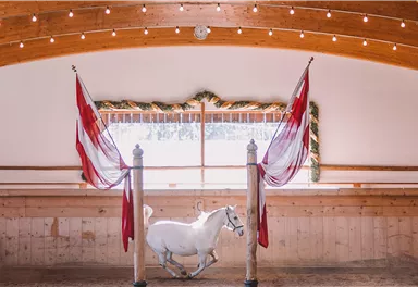 Ein weißes Pferd läuft in einer Reithalle. Im Hintergrund sind festliche Dekorationen und zwei rote Fahnen zu sehen.