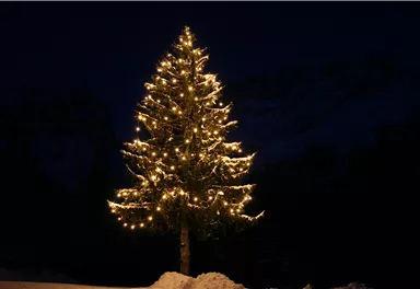 Ein festlich beleuchteter Weihnachtsbaum steht in der Dunkelheit. Im Hintergrund sind schneebedeckte Berge zu sehen.