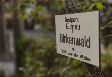 Ein Schild im Dorfpark Ellmau zeigt den Birkenwald an. Es erinnert an das Jahr des Waldes 2011.