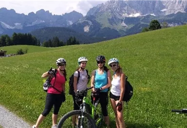 Four people are standing with bicycles on a path in a green meadow. In the background, majestic mountains can be seen.
