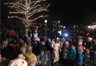 A festive night view with a large crowd gathered around a illuminated tree. Some children are wearing colorful jackets and hats, while a person in a white costume stands in the foreground.