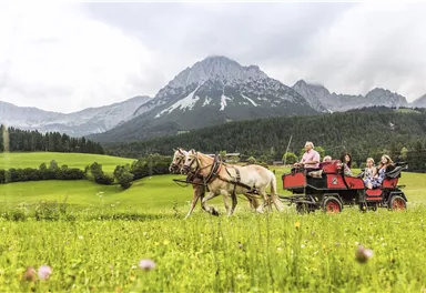 Eine Pferdekutschfahrt durch eine grüne Wiese mit majestätischen Bergen im Hintergrund. Die Passagiere genießen die Aussicht in der Natur.