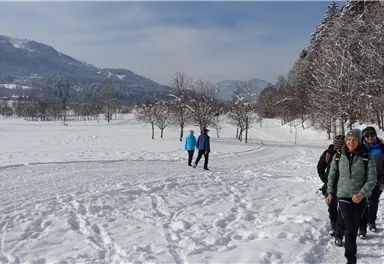 A snow-covered path with several hikers. In the background, snow-covered trees and mountains can be seen.