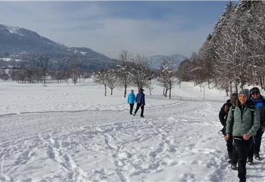 A snow-covered path with several hikers. In the background, snow-covered trees and mountains can be seen.