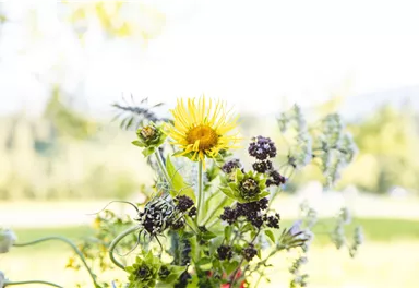 Eine Person hält ein kleines, grünes Fläschchen mit der Aufschrift "GONIGER". Eine andere Person nimmt es entgegen.