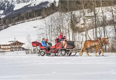 Eine Pferdeschlittenfahrt durch verschneite Landschaft. Im Hintergrund sind Bäume und ein traditionelles Chalet zu sehen.