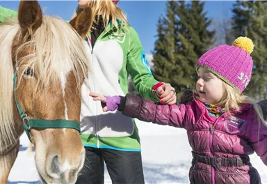 Ein kleines Mädchen in einem warmen Anzug interagiert mit einem Pferd auf einem schneebedeckten Feld. Im Hintergrund sind Bäume und blauer Himmel sichtbar.