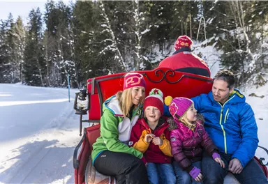 Eine Familie sitzt in einer Pferdeschlittenfahrt im Schnee. Umgeben von verschneiten Bäumen genießen sie die Winterlandschaft.