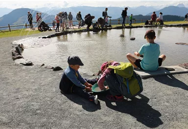 A beautiful place with a shallow pond, surrounded by nature. Children are playing at the edge, while other visitors stand in the background.