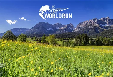 A beautiful, blooming field with yellow flowers in the foreground and majestic mountains in the background. The sky is clear and blue, perfect for an outdoor event.