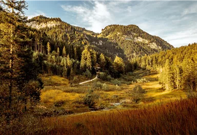 Eine malerische Berglandschaft mit üppigen Wäldern und sanften Hügeln. Im Vordergrund erstreckt sich eine weitläufige, goldene Wiese.