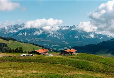 Eine malerische Landschaft mit sanften Hügeln und Bauernhäusern. Im Hintergrund erheben sich majestätische Berge unter einem teilweise bewölkten Himmel.