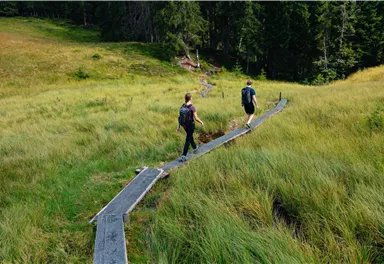 Zwei Wanderer gehen auf einem Holzsteg durch eine grüne Wiese. Im Hintergrund sind Bäume zu sehen.