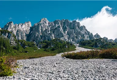 Eine beeindruckende Berglandschaft mit steilen Felsen und grünem Bewuchs. Der Himmel ist klar und blau, was die Landschaft noch beeindruckender erscheinen lässt.