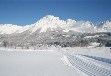 A snow-covered winter landscape with majestic mountains in the background. The clear blue sky complements the tranquil atmosphere of the scene.