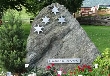 Ein großer Stein mit fünf silbernen Sternen. Umgeben von bunten Blumen und grünen Pflanzen.