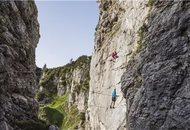 Two climbers scale a steep rock face in an impressive gorge. The surrounding landscape is green and mountainous.
