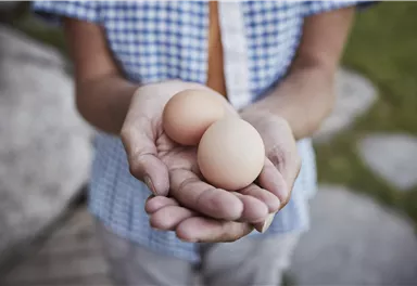 Ein Marktstand mit vielen Kürbissen und fröhlichen Verkäufern. Kinder sitzen an einem Tisch und genießen die herbstliche Atmosphäre.
