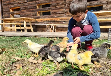 Ein Junge sitzt auf dem Gras und füttert kleine Küken. Im Hintergrund ist eine Holzhütte zu sehen.