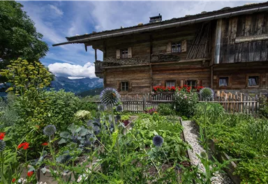 Ein Mann schnitzt mit einem Werkzeug in einen Kürbis. Im Hintergrund sind weitere Kürbisse und Strohballen zu sehen.