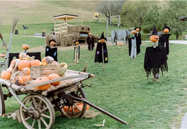 Eine herbstliche Szene mit Kürbissen und Hexen in einer Wiese. Im Hintergrund stehen Heuballen und eine kleine Holzkonstruktion.