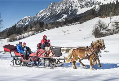 A horse-drawn sleigh ride through a snowy landscape. In the background, mountains and trees are visible.