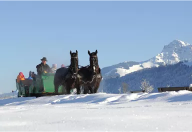 Eine Pferdeschlittenfahrt im verschneiten Winterlandschaft. Im Hintergrund sind Berge unter klarem Himmel sichtbar.