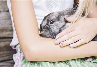A girl is holding a gray rabbit in her arms. She is wearing a simple top and a skirt with a floral pattern.