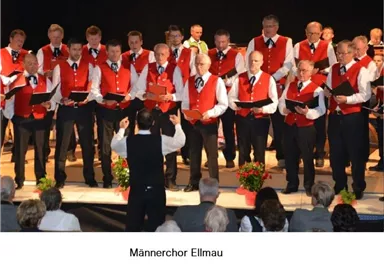 A male choir stands on stage and sings. They are wearing red vests and black pants, while the audience listens attentively.