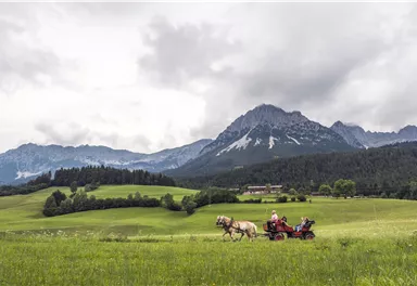 Eine malerische Landschaft mit üppigen grünen Wiesen und majestätischen Bergen im Hintergrund. Ein Pferd zieht eine Kutsche, während zwei Personen darin sitzen.