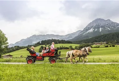 Eine Kutsche mit mehreren Passagieren fährt durch eine grüne Landschaft. Im Hintergrund sind Berge und ein bewölkter Himmel zu sehen.