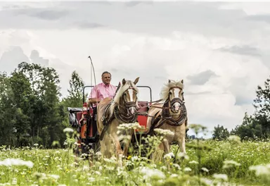 Ein Mann fährt mit einer Pferdekutsche durch eine blühende Wiese. Der Himmel ist bewölkt und die Landschaft ist grün und lebendig.