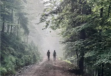 Ein nebliger Waldweg mit zwei Personen, die spazieren gehen. Umgeben von üppigem Grün und den Geräuschen der Natur.