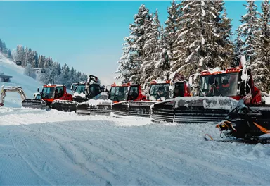 Eine Reihe von Pistenbullys steht auf einem verschneiten Hang. Im Hintergrund sind winterliche Bäume und ein klarer blauer Himmel zu sehen.
