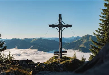 Ein schmaler Schotterweg führt durch einen herbstlichen Wald. Bunte Blätter und hohe Bäume umgeben die Landschaft, während im Hintergrund Berge zu sehen sind.