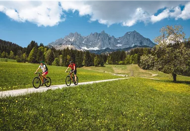Two cyclists are riding on a narrow path through a green meadow. In the background, impressive mountains and a blue sky with a few clouds can be seen.