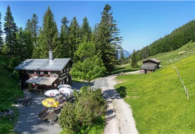 Eine idyllische Hütte umgeben von grünen Wiesen und hohen Bäumen. Der blaue Himmel sorgt für eine sonnige und einladende Atmosphäre.