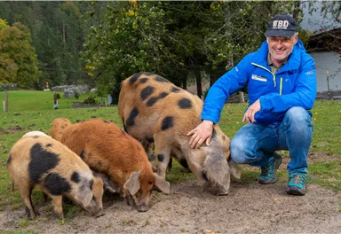 A man kneels next to several pigs in a meadow. The animals are different colors and seem friendly and curious.
