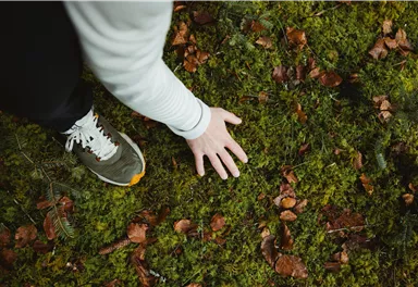 Eine Hand berührt das grüne Moos auf dem Boden, während ein Fuß mit einem Sneaker daneben steht. Bunte Blätter liegen verstreut auf der Erde.